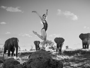 Dancing With Nature 07