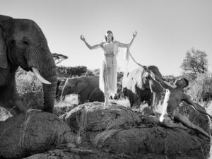 Dancing With Nature 11